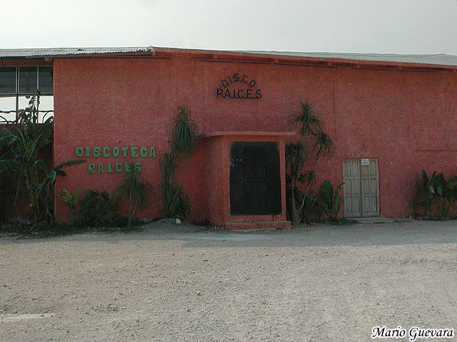 Discoteca Raices