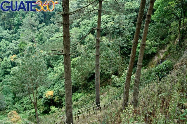 Vista del parque ecológico