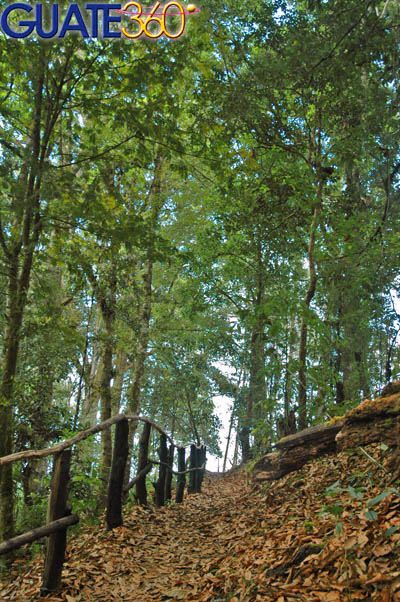 Encaminamiento para realizar caminatas en la naturaleza