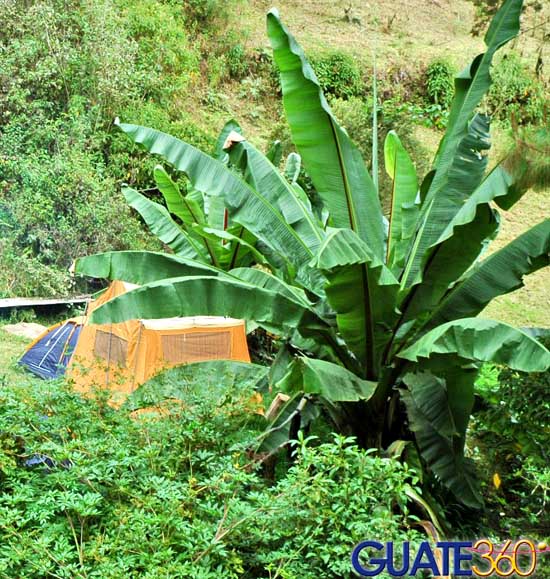 Campamento en áreas especiales con toda la comodidad