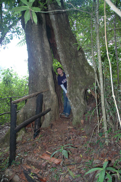 Disfrutando de la caprichosa naturaleza durante una caminata