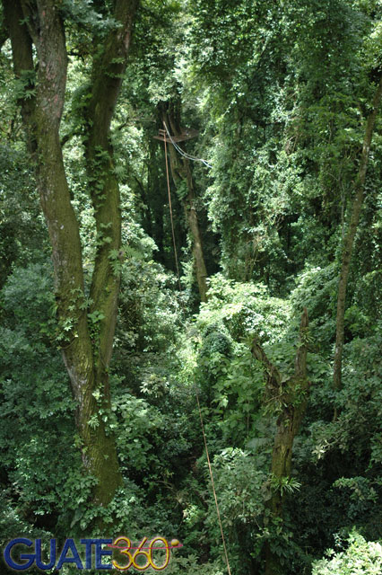 Cable de Canopy