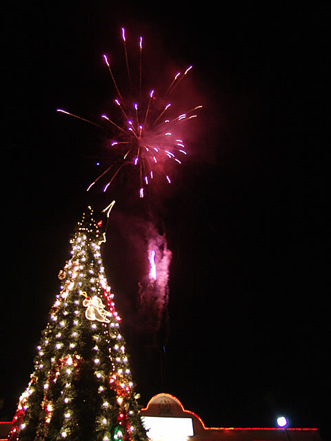 Arbol Gallo Totonicapán