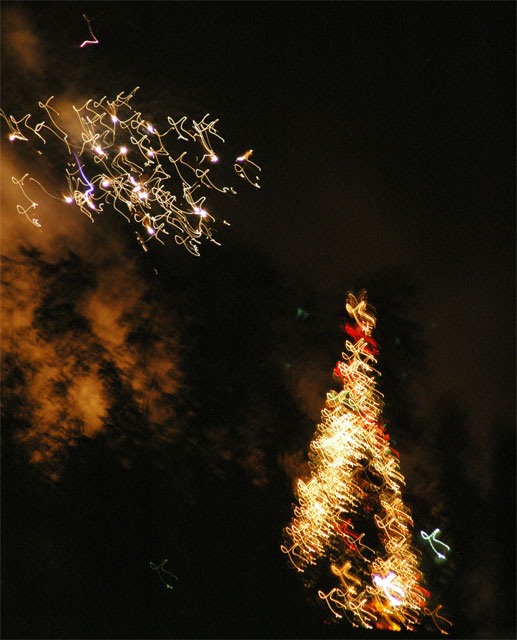 Arbol Gallo en Navidad celebrada en la Ciudad de Guatemala