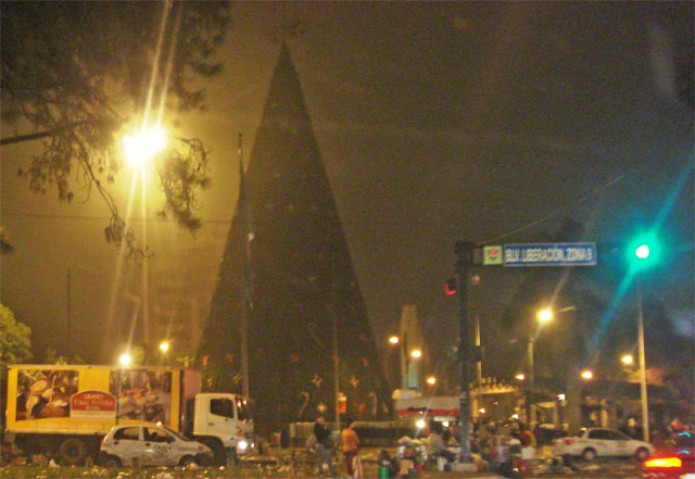 Vista del Arbol Gallo 2005 en la Ciudad de Guatemala