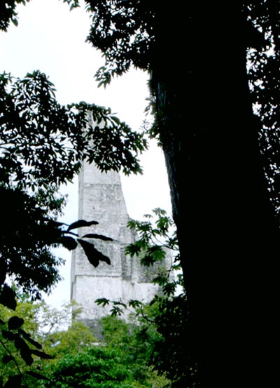El Templo IV en un especial ángulo