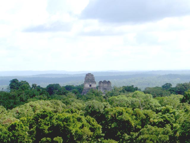 Vista desde el templo IV