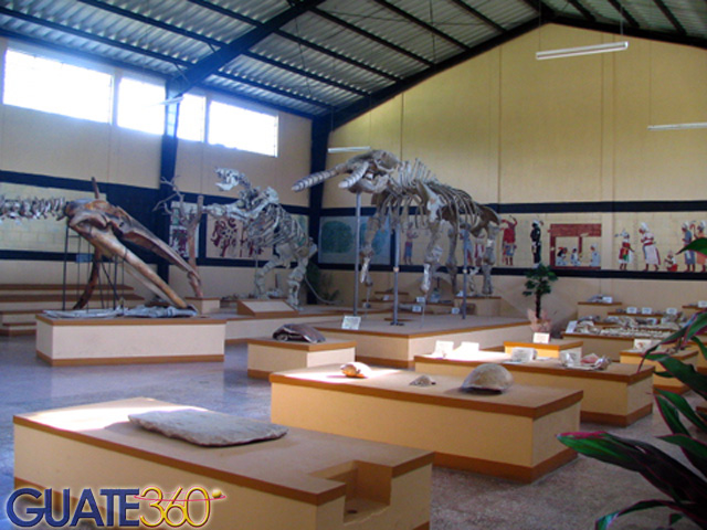 Museo Estanzuela