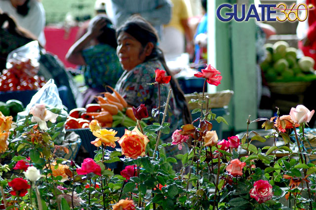 Comercio floreado