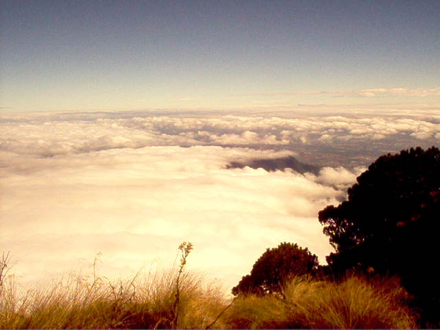 Horizonte de Algodón