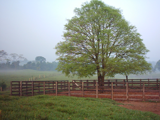 Selva de Ixcan
