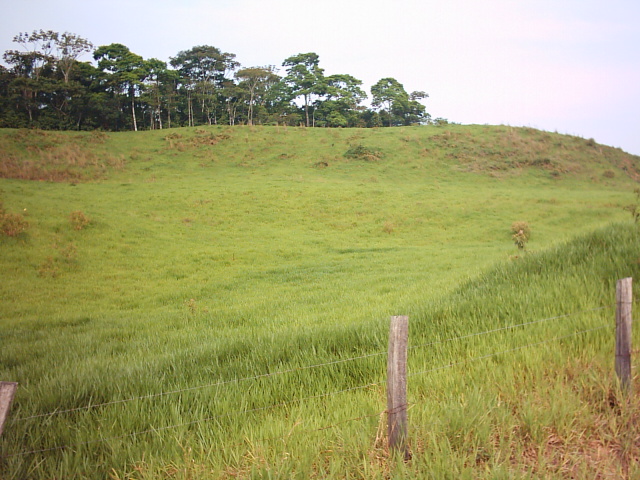 Paisaje