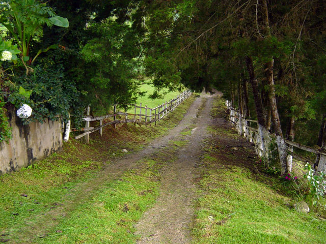 Camino