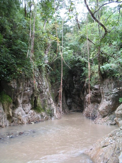 Magestuosidad de la Naturaleza