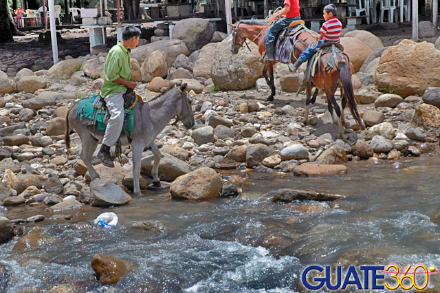 Caballos a las orillas del Río Atulapa