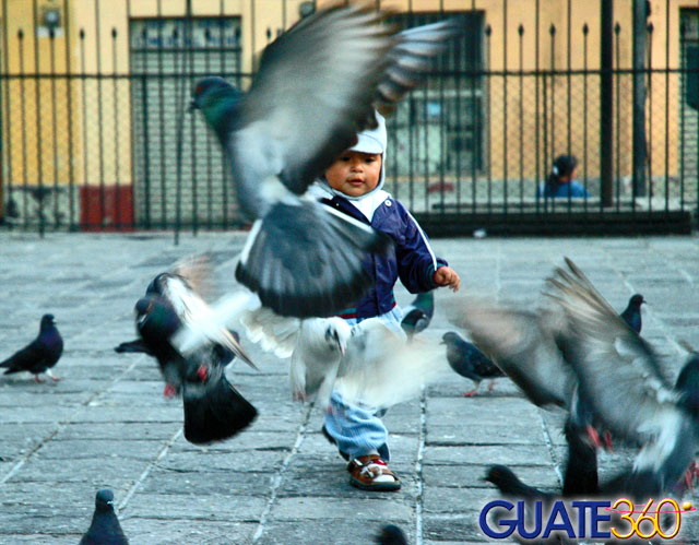 Niño jugando con palomas en la iglesia de la Merced