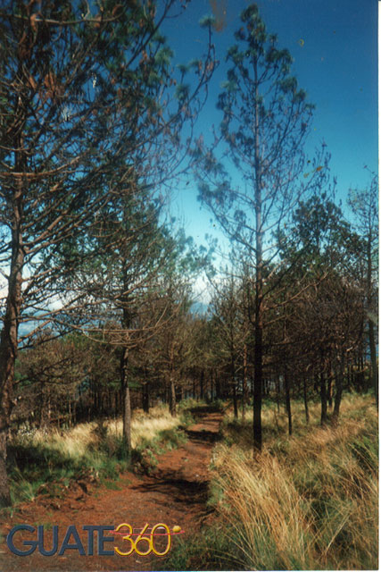 Camino natural hacia el Volcán Acatenango