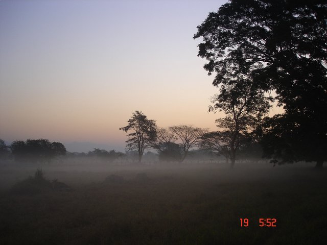 Amanecer entre bruma