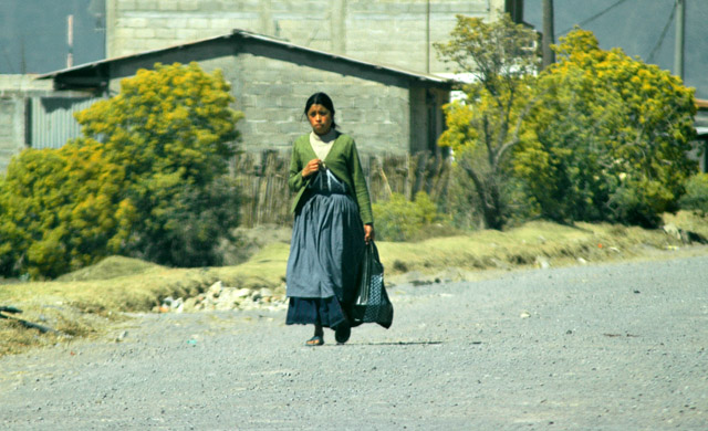 En los empolvados caminos