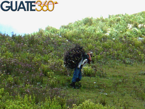 Leñador en la Sierra de los Cuchumatanes