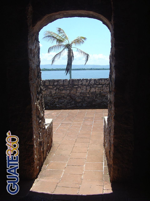 Palmera