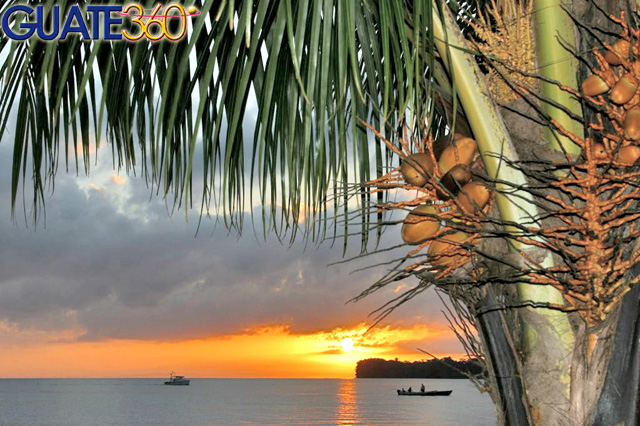 Atardecer bajo los cocos