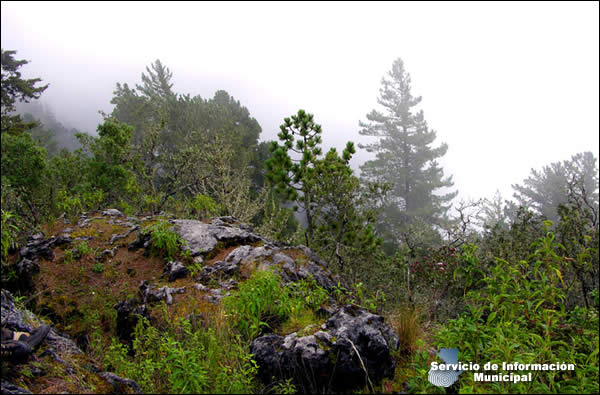 Naturaleza de Todos Santos Cuchumatanes