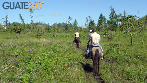 Paseo a Caballo