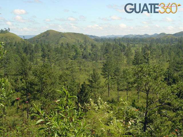 Naturaleza