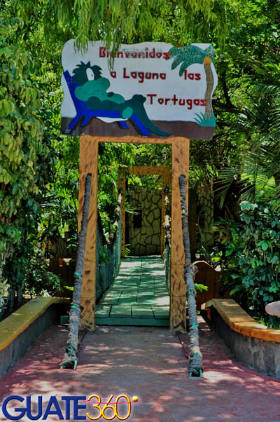 Laguna de las tortugas