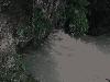 Rio Lanquin