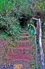 El lugar ideal para hacer caminatas entre la naturaleza