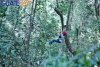 Adrenalina, altura y naturaleza en Cascadas de Tatasirire