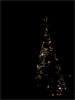 Navidad en Guatemala y el Árbol Gallo