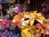 Pascuas artificiales