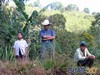 Trabajadores