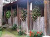 Área de estudios
