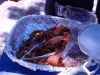 Chicharrones un lujo de la Comida de Guatemala