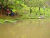 Laguna