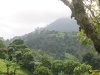 Vista de los alrededores
