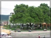 Parque de Yepocapa