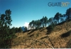 Sendero hacia el volcán Acatenango