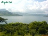 A orillas del lago