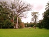 Parque Arqueológico Quiriguá
