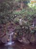 Gruta, rio Las Escobas
