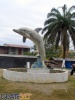 Delfín
