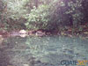 Nacimiento de agua