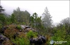 Naturaleza de Todos Santos Cuchumatanes