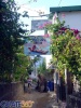 Restaurante Tintin